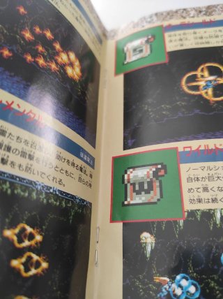 Gynoug - Mega Drive JP