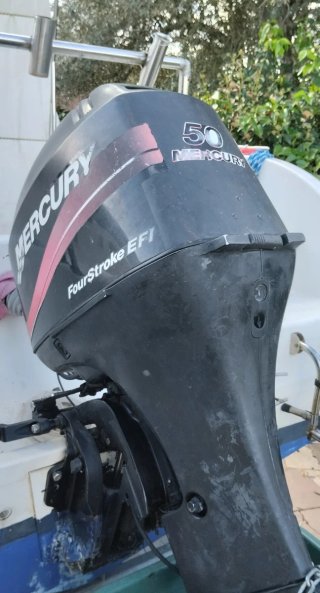 Mercury 50 CV EFI 4T Motor Completo o Despiece