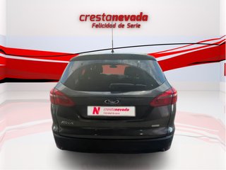 Focus DESDE 189€ ¡SIN PAGAR ENTRADA!