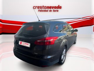 Focus DESDE 189€ ¡SIN PAGAR ENTRADA!