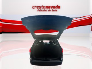 Focus DESDE 189€ ¡SIN PAGAR ENTRADA!