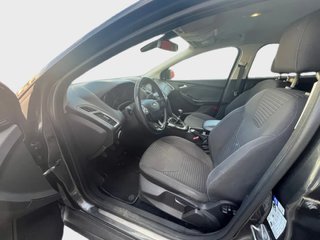 Focus DESDE 189€ ¡SIN PAGAR ENTRADA!