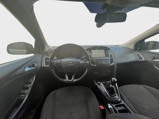 Focus DESDE 189€ ¡SIN PAGAR ENTRADA!