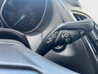 Focus DESDE 189€ ¡SIN PAGAR ENTRADA!
