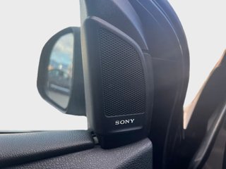 Focus DESDE 189€ ¡SIN PAGAR ENTRADA!