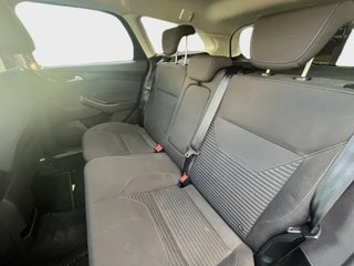 Focus DESDE 189€ ¡SIN PAGAR ENTRADA!