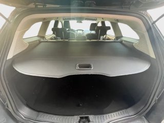 Focus DESDE 189€ ¡SIN PAGAR ENTRADA!