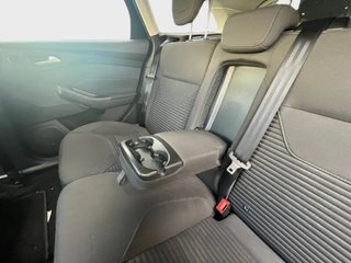 Focus DESDE 189€ ¡SIN PAGAR ENTRADA!
