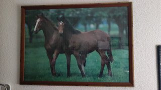 Cuadro Caballos Marrones y Verdes