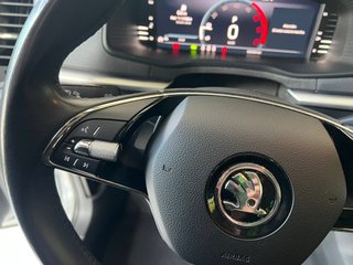 Skoda Karoq AMBITION  2.0 TDI 150cv DSG 4x4