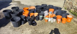 Lote de macetas de plástico