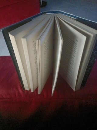 Vendetta di sangue romanzo
