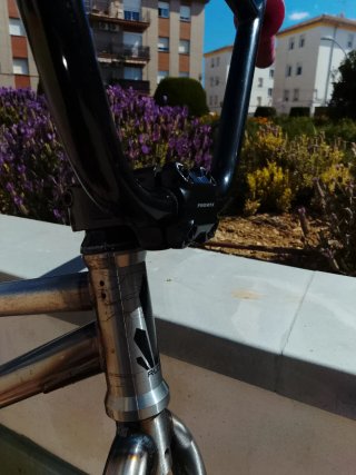 BMX FREESTYLE 20" PARA STREET O SKATEPARK