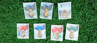 Cromos de fútbol - Colección variada