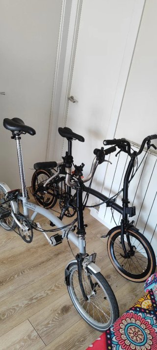 Brompton Cranston Negra O Amarilla