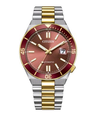Reloj Citizen Tsuyosa Shore NJ0234-58X bicolor