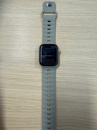 Apple Watch Gris con Correa gris