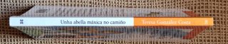 Unha abella máxica no camiño