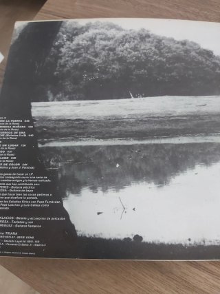 Disco Vinilo Triana