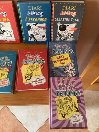 Lote de 16 libros catalan de diario y 2 castellano