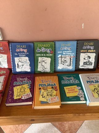 Lote de 16 libros catalan de diario y 2 castellano