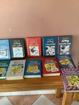 Lote de 16 libros catalan de diario y 2 castellano