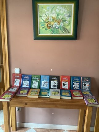 Lote de 16 libros catalan de diario y 2 castellano