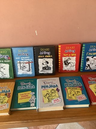 Lote de 16 libros catalan de diario y 2 castellano