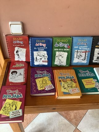 Lote de 16 libros catalan de diario y 2 castellano