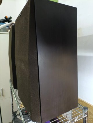 Altavoces Sony SS G1