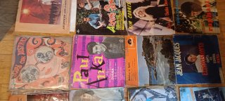 19 Discos Vinilo