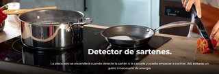 Placa Inducción Cecotec