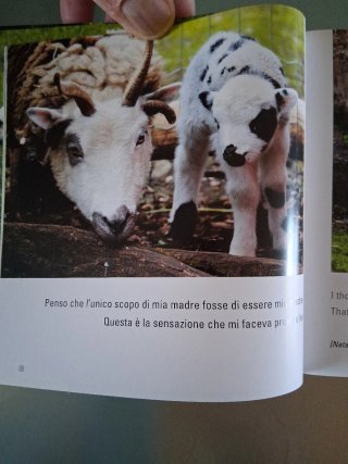 Libro i cuccioli pag.470 illustrato