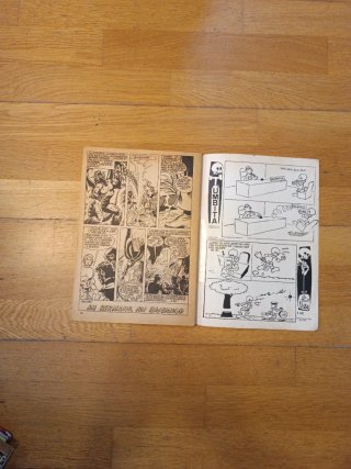 Cómic Patrulla X 1978