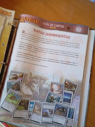 Archivador cartas Magic