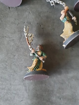 Warhammer 20 Flagelantes pintados