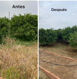 Desbroce de solares y parcelas