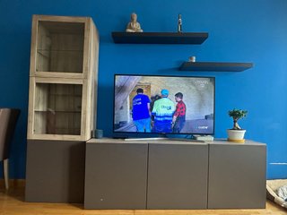 Mueble de salón Ikea BESTA. (Todo o suelto)
