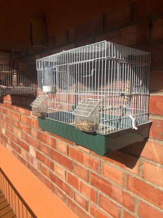 Conjunto 3 jaulas para pájaros