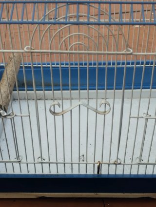 Jaula grande para pájaros/hámsters.