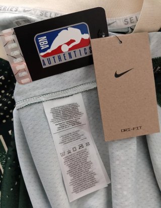 Camiseta Premium Nike NBA Bucks  Antetokoun