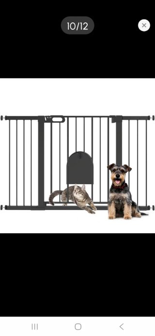 Barrera seguridad perros metal negra