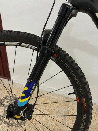 Bici B-PRO Adulto Carbono