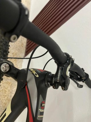 Bici B-PRO Adulto Carbono