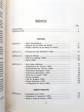 Nerva. Historia de un pueblo. Juan Gómez Moreno