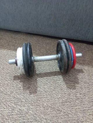 Mancuerna 14kg  disco de 5kg