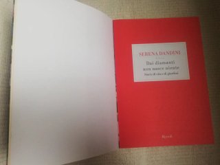 Dai diamanti non nasce niente storie di vita e ...
