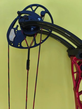 Arco de Poleas Mathews Title 40 G2