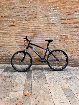 Bicicleta mountain bike