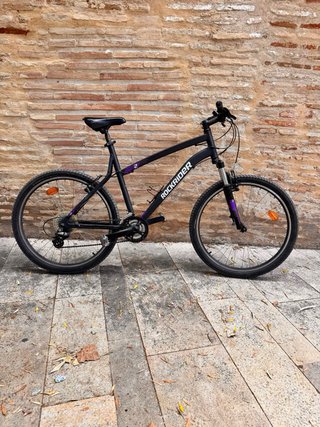 Bicicleta mountain bike